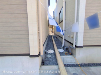 nOώʐ^@-