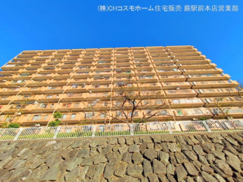 nOώʐ^@-