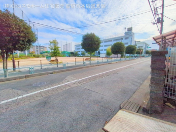 nOώʐ^@-