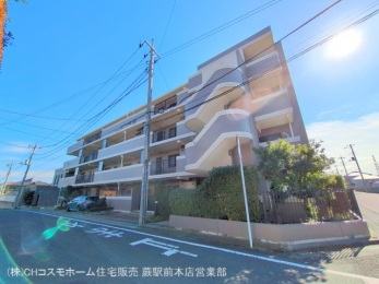 nOώʐ^@-