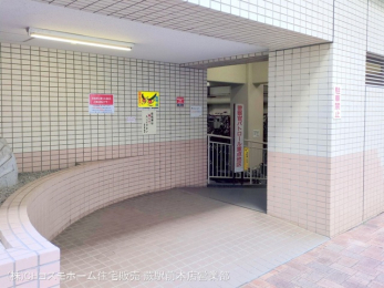 nOώʐ^@-