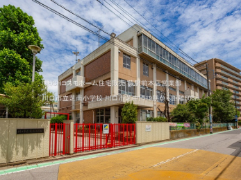 周辺環境　川口市立芝南小学校（500m）