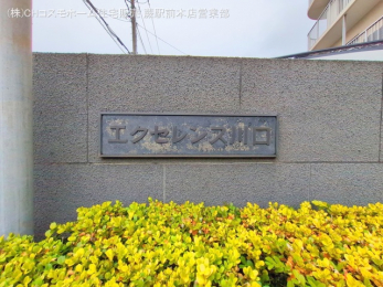 nOώʐ^@-