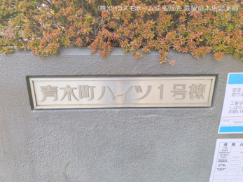 nOώʐ^@-