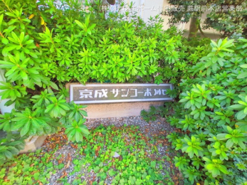 nOώʐ^@-
