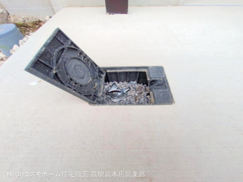 nOώʐ^@-