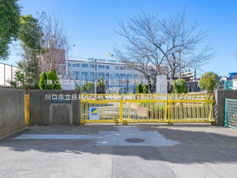 周辺環境　川口市立慈林小学校（480m）