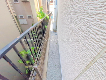 nOώʐ^@-