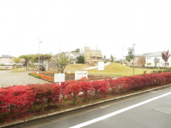 ӊ@т񂲌i860mj