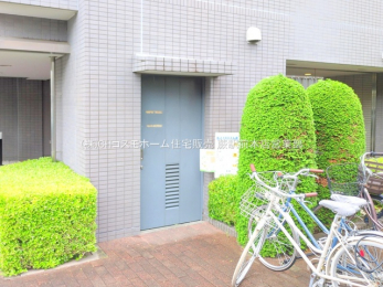 nOώʐ^@-