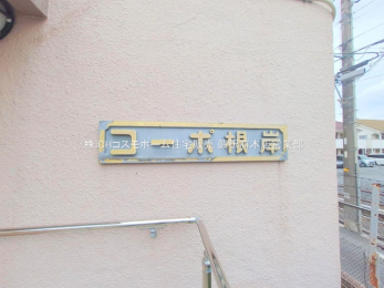 nOώʐ^@-