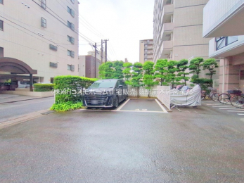 nOώʐ^@-