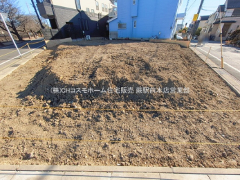 ���n�y�n�ʐ^�@-