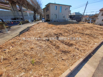 ���n�y�n�ʐ^�@-