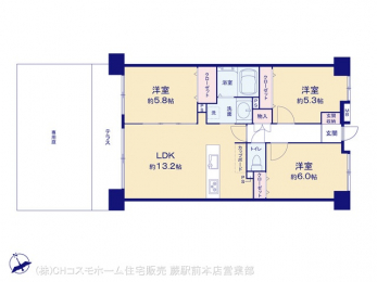 Ԏ}îP}Vj@}ʂƈقȂꍇ͌D