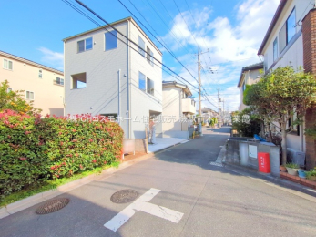 ���n�y�n�ʐ^�@-