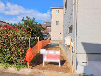 ���n�y�n�ʐ^�@-