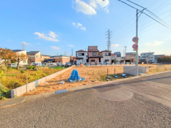 ���n�y�n�ʐ^�@-