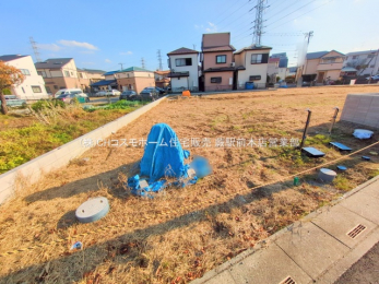 ���n�y�n�ʐ^�@-