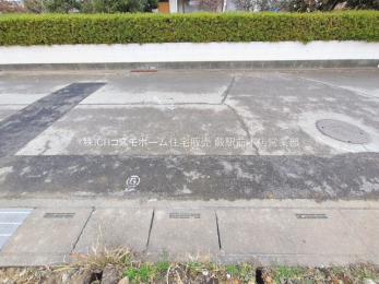 ���n�y�n�ʐ^�@-