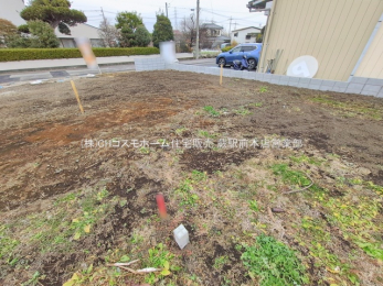 ���n�y�n�ʐ^�@-