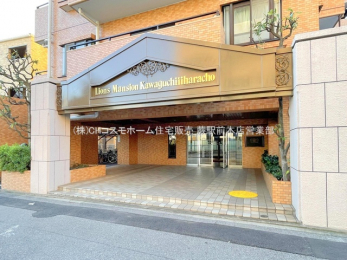 �G���g�����X�@-