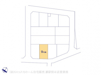 Ԏ}îPˌj@}ʂƈقȂꍇ͌D