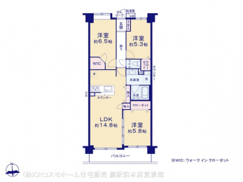 Ԏ}îP}Vj@}ʂƈقȂꍇ͌D