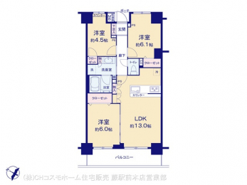 Ԏ}îP}Vj@}ʂƈقȂꍇ͌D