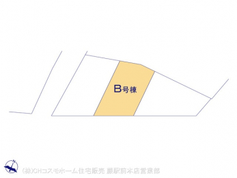 Ԏ}îPˌj@}ʂƈقȂꍇ͌D