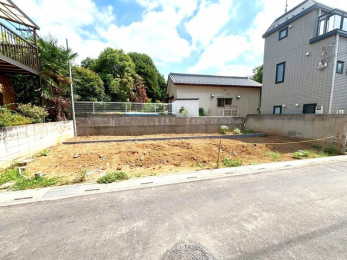 nOώʐ^@`zǍDȌnʐ^`̗z̗ǂnɂđ̊Ă݂ĂI