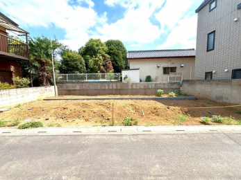 nOώʐ^@`ChXp̌nʐ^ł`