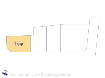 Ԏ}îPˌj@}ʂƈقȂꍇ͌D