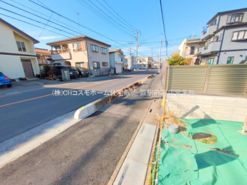 ���n�y�n�ʐ^�@-