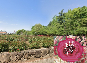 ӊ@w΂܂̗^xi1220mj