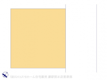 Ԏ}îPˌj@}ʂƈقȂꍇ͌D