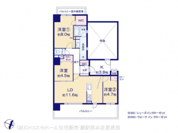 Ԏ}îP}Vj@}ʂƈقȂꍇ͌D