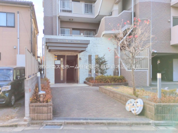 �G���g�����X�@-