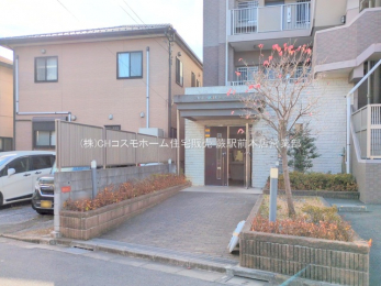 �G���g�����X�@-