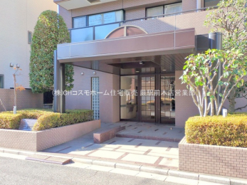 �G���g�����X�@-