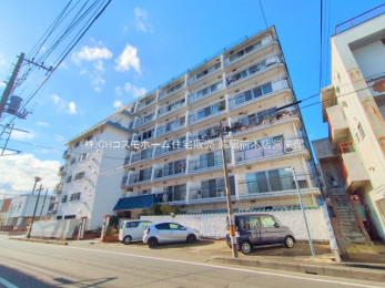 ���n�O�ώʐ^�@-