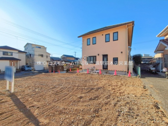 ���n�y�n�ʐ^�@-