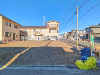 ���n�y�n�ʐ^�@-