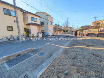 ���n�y�n�ʐ^�@-