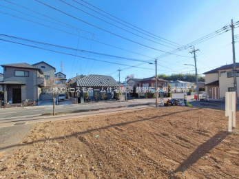 ���n�y�n�ʐ^�@-