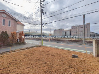 ���n�y�n�ʐ^�@-