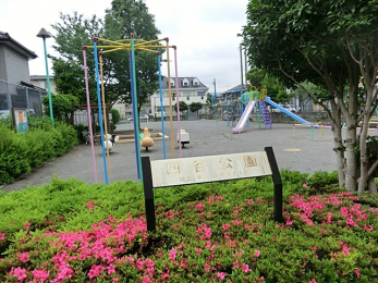 ���ӊ��@�l�J�����i850m�j