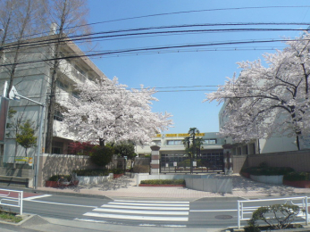 ���ӊ��@�������܎s�����e���w�Z�i550m�j