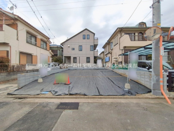 ���n�y�n�ʐ^�@-