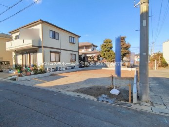 ���n�y�n�ʐ^�@-